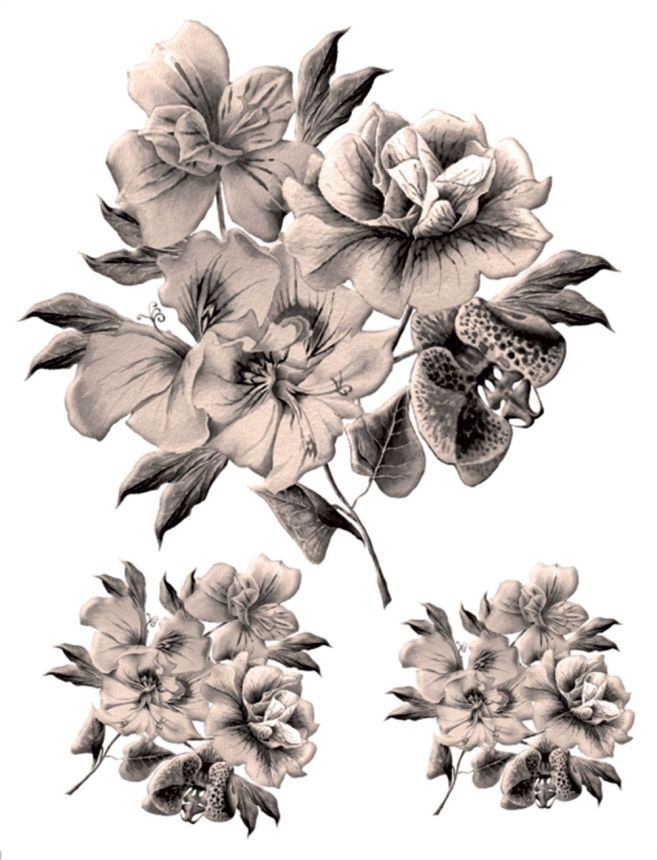 Selbstklebende Wanddekoration F 1063, Flowers, AG Design