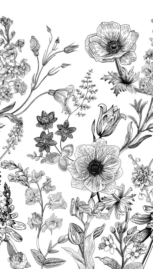 Fototapete, Schwarz-weiße Blumen, ML1601, Mural Young Edition, Grandec