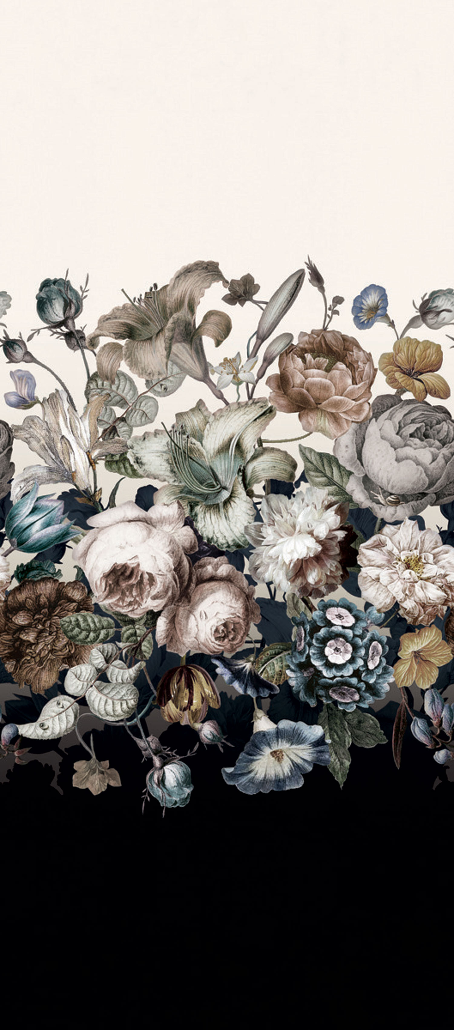 Florale Fototapete, Rosen, Blumen, BL1822M, Blooms Second Edition Resource Library, York