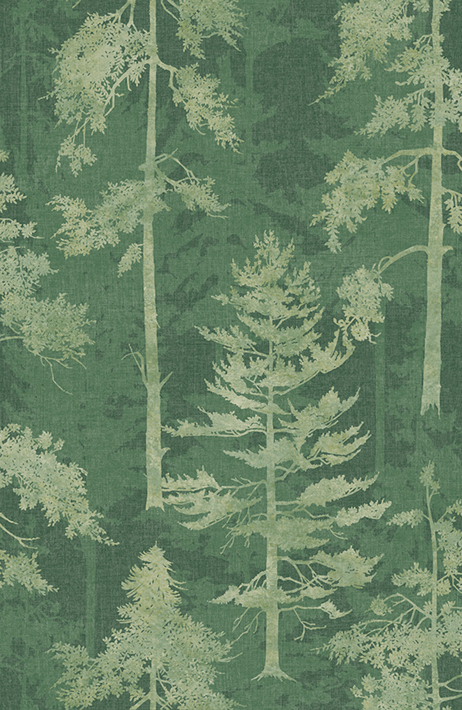 Grüne Vliestapete, Wald, Bäume, 121425, New Eden, Graham&Brown Premium