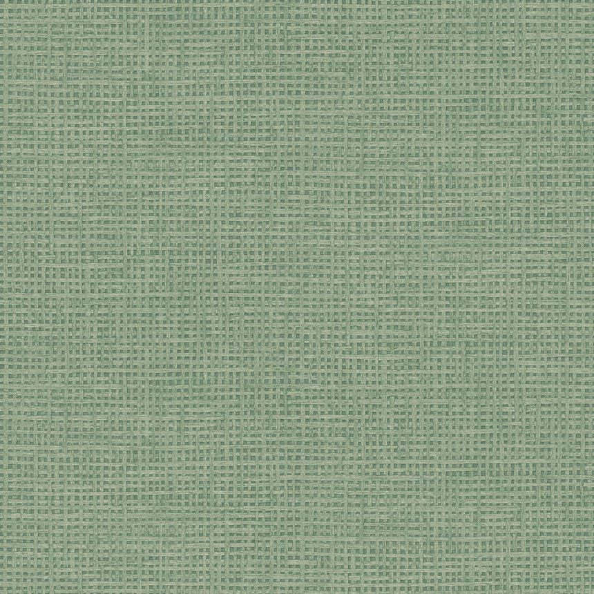Vliestapete, grün, Mattenimitat, 124093, Utopia, Graham Brown Premium