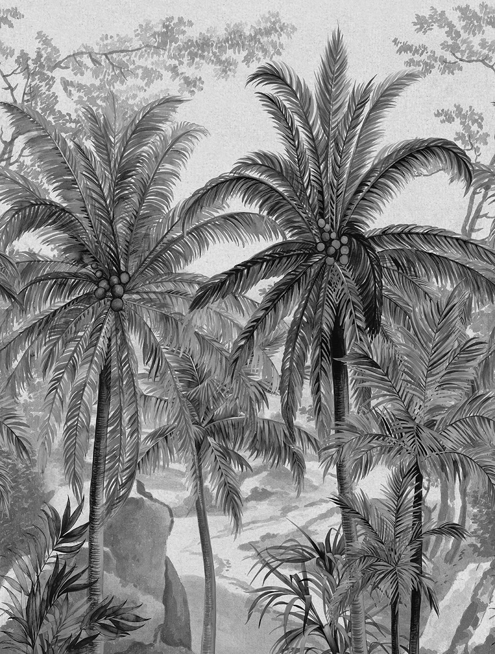 Vlies-Fototapete, grau-schwarz, Palmen, FW4031-1, Feature Walls, Decoprint