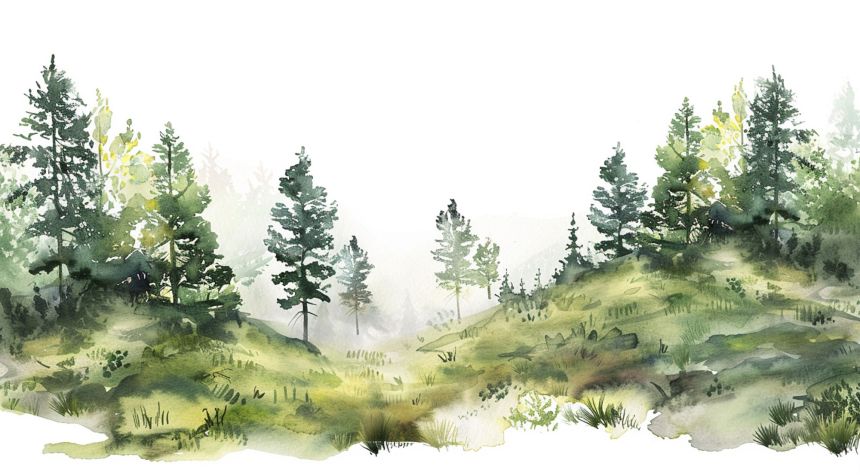 Vlies-Fototapete nach Maß, Wald, Bäume, 10075, Vavex