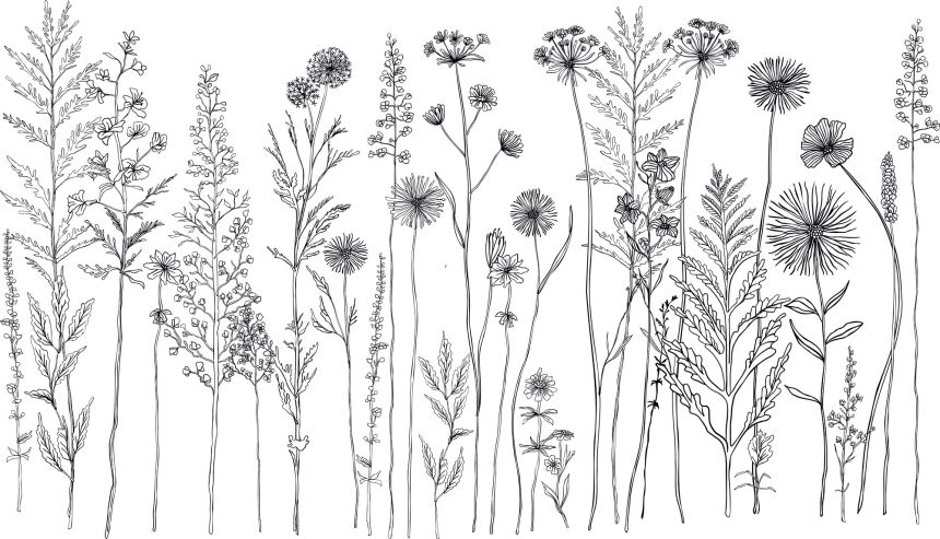 Vlies-Fototapete nach Maß, Wiesenblumen, 10164, Vavex
