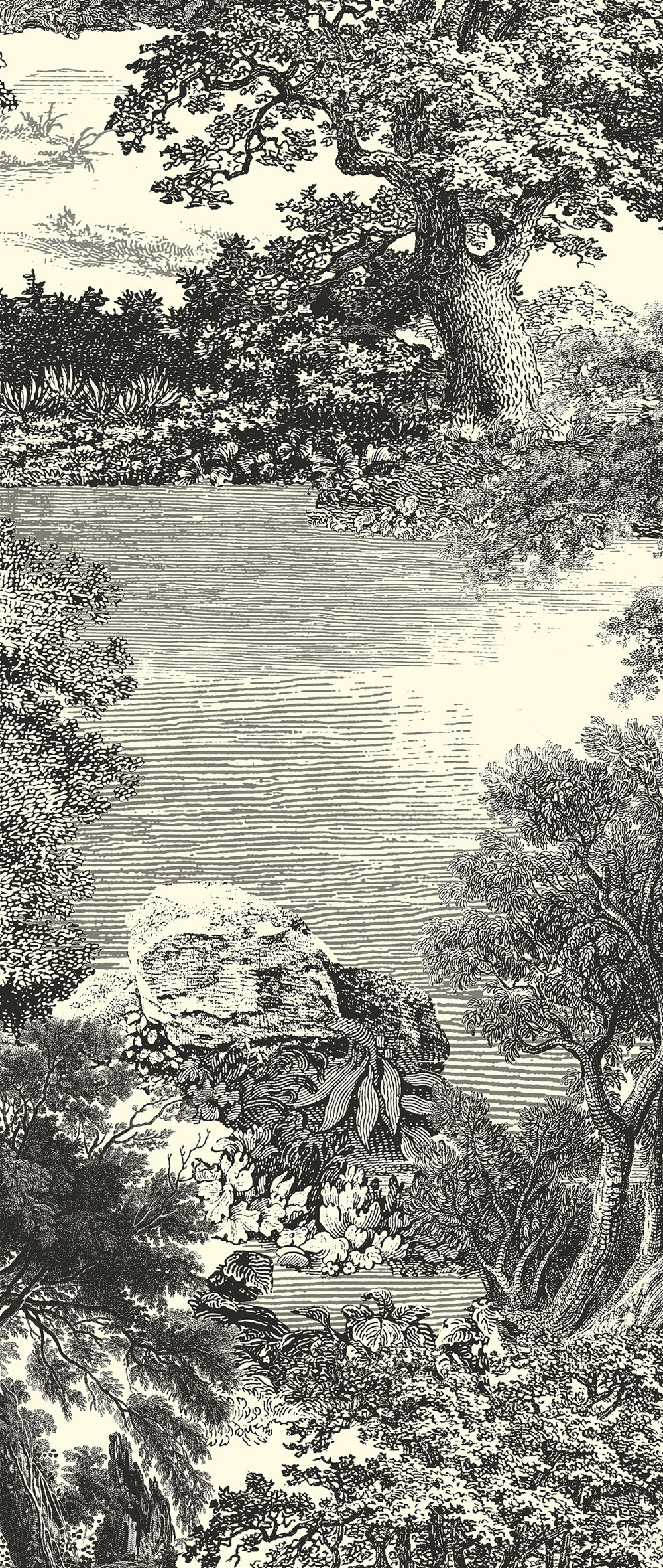 Fototapete, schwarz, Wald, Bäume, DGSAL1011-300, Amazone, Masureel