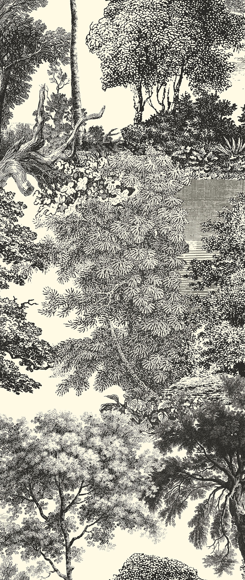 Fototapete, schwarz, Wald, Bäume, DGSAL1012-300, Amazone, Masureel