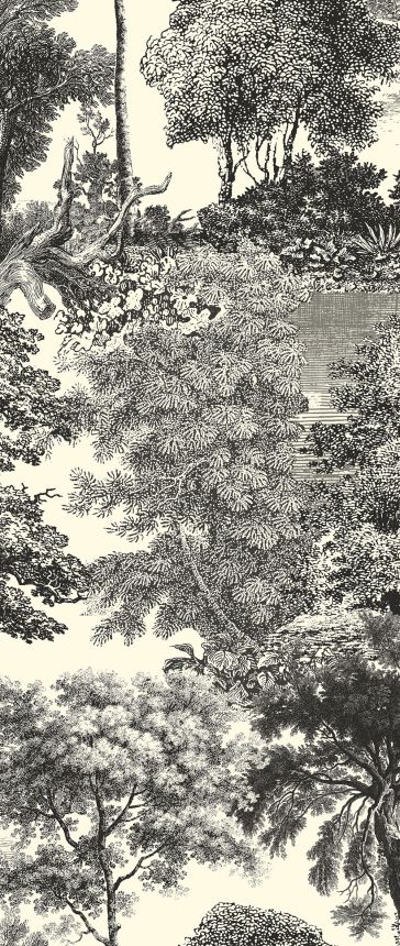 Fototapete, schwarz, Wald, Bäume, DGSAL1014-300, Amazone, Masureel