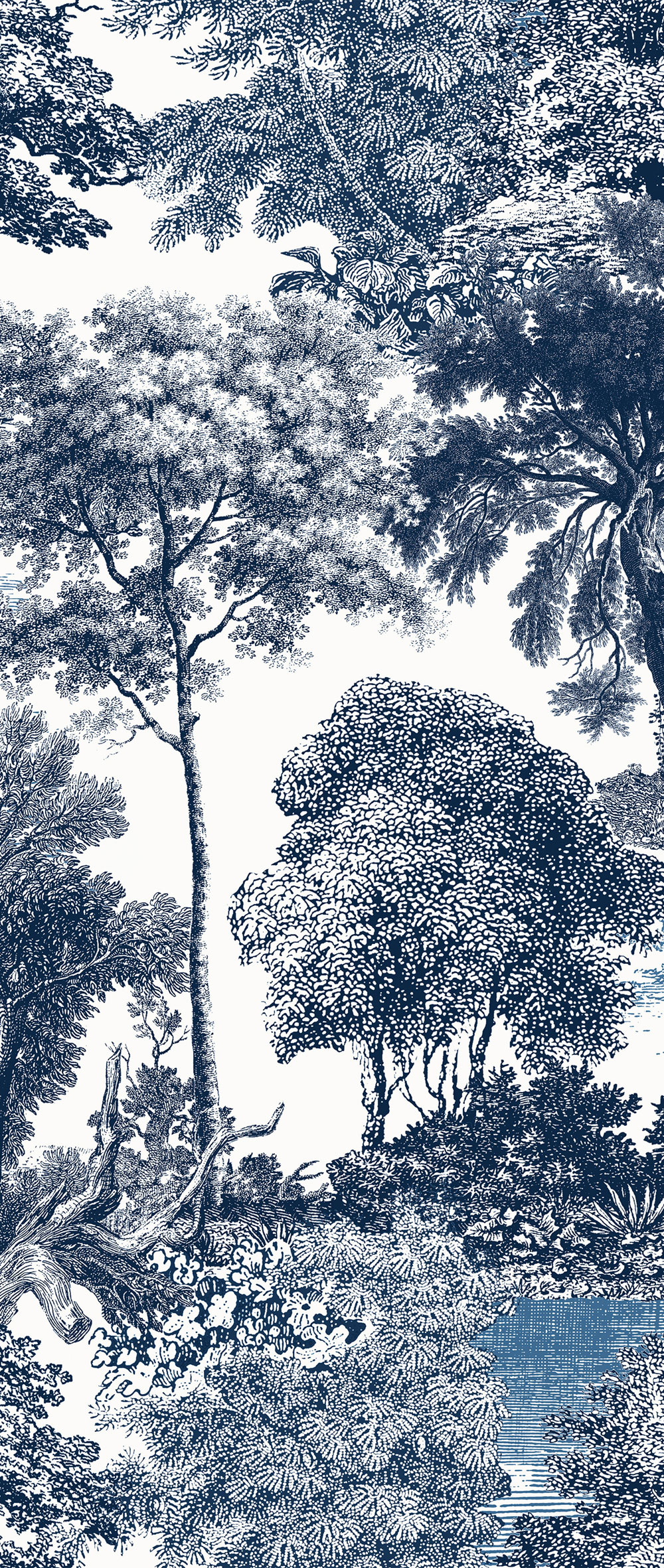 Fototapete, blau, Wald, Bäume, DGSAL1022-260, Amazone, Masureel