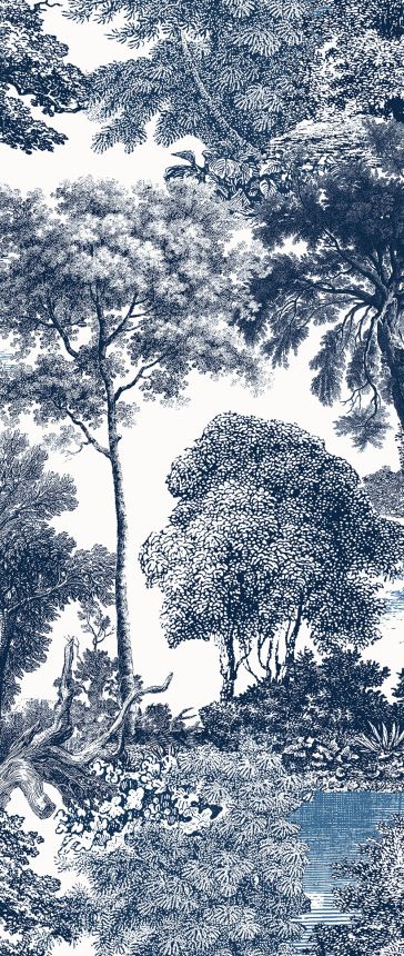 Fototapete, blau, Wald, Bäume, DGSAL1022-260, Amazone, Masureel