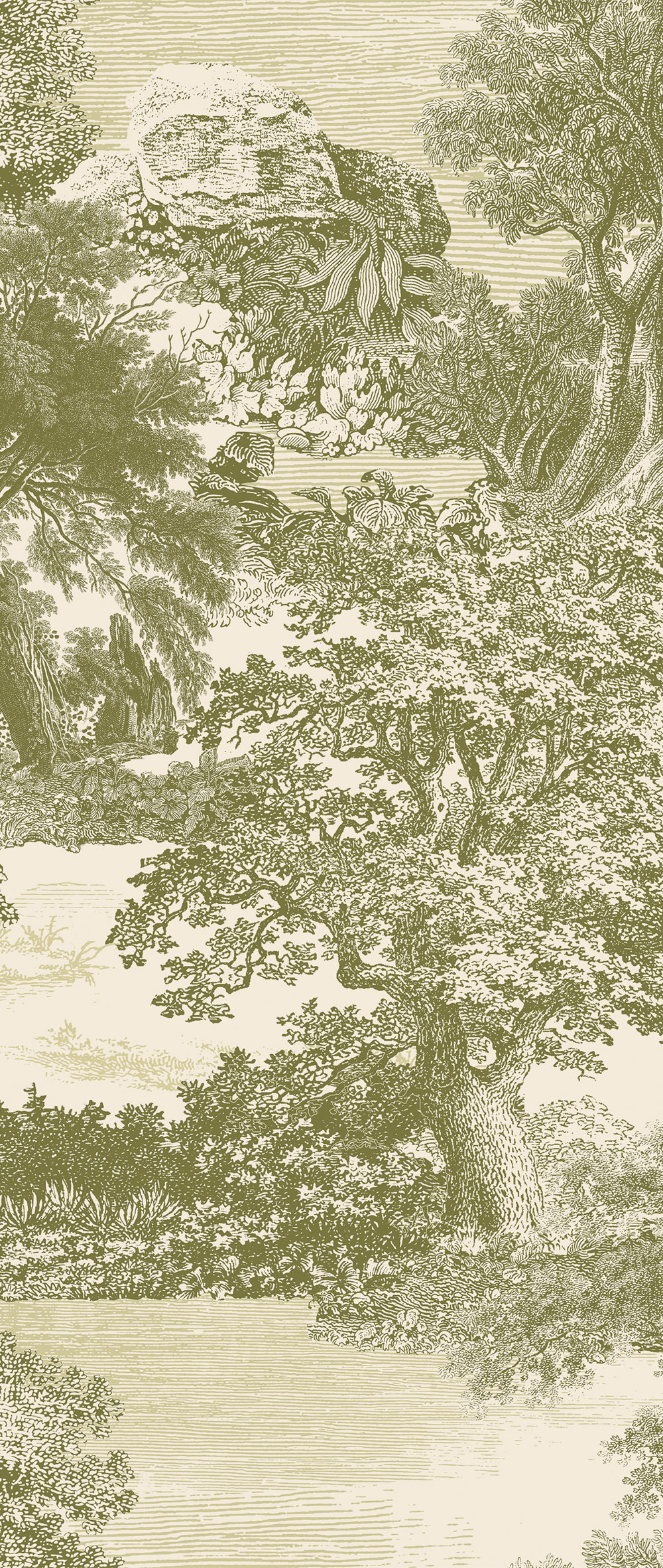 Fototapete, grün, Wald, Bäume, DGSAL1033-300, Amazone, Masureel