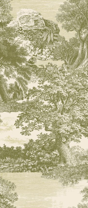 Fototapete, grün, Wald, Bäume, DGSAL1033-300, Amazone, Masureel
