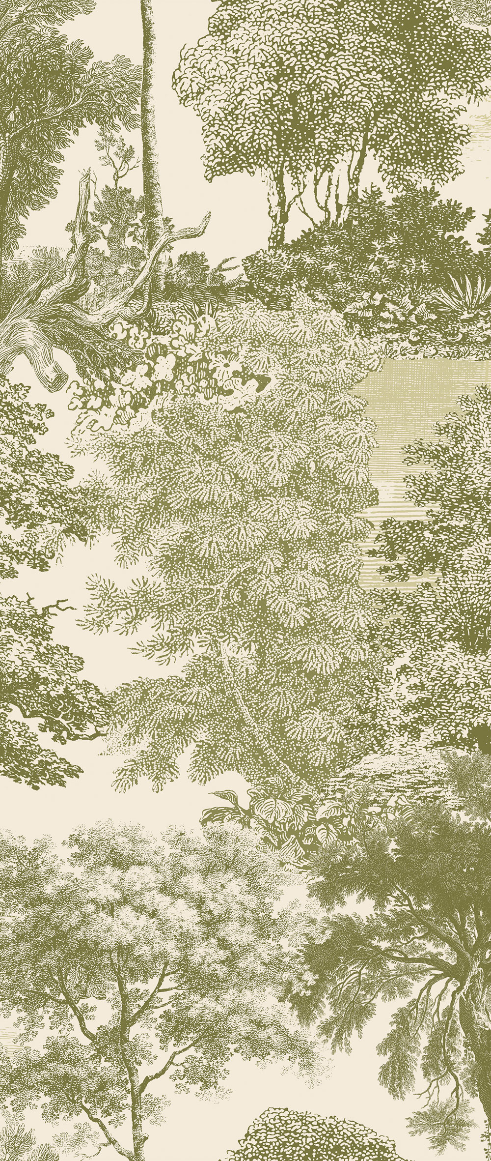 Fototapete, grün, Wald, Bäume, DGSAL1034-260, Amazone, Masureel