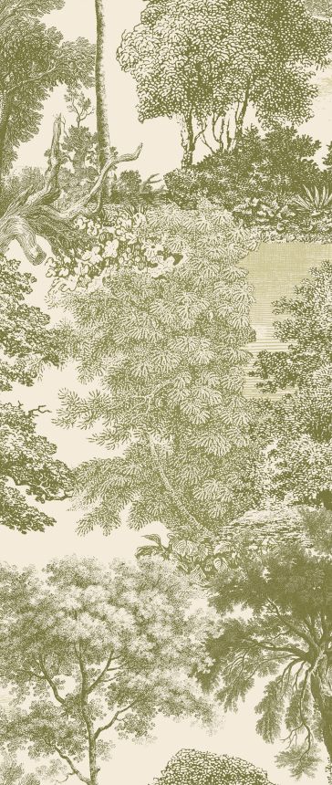 Fototapete, grün, Wald, Bäume, DGSAL1034-260, Amazone, Masureel