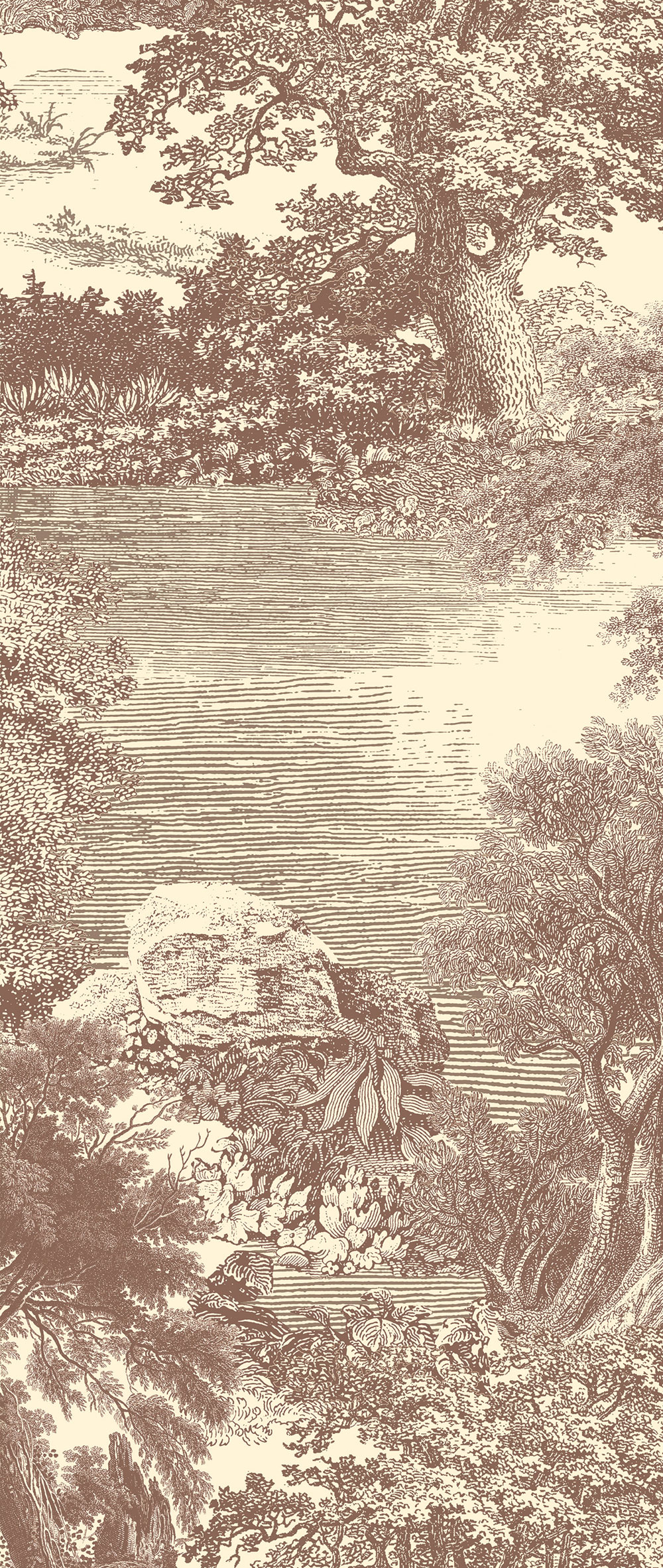 Fototapete, braun, Wald, Bäume, DGSAL1041-260, Amazone, Masureel