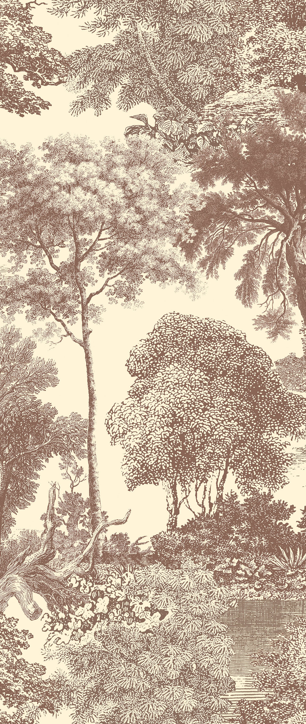 Fototapete, braun, Wald, Bäume, DGSAL1042-260, Amazone, Masureel