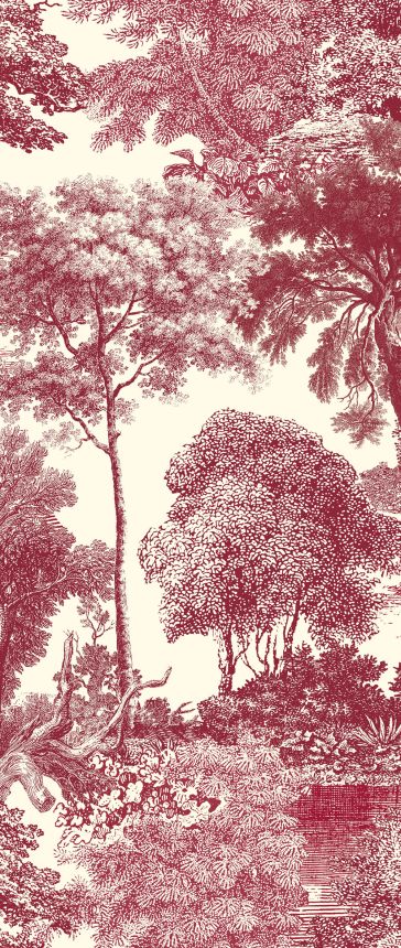 Fototapete, rot, Wald, Bäume, DGSAL1052-260, Amazone, Masureel