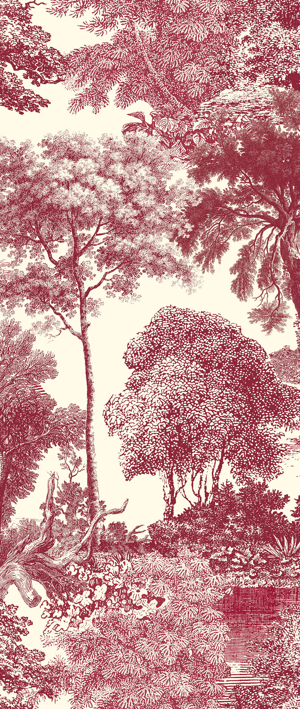 Fototapete, rot, Wald, Bäume, DGSAL1052-300, Amazone, Masureel