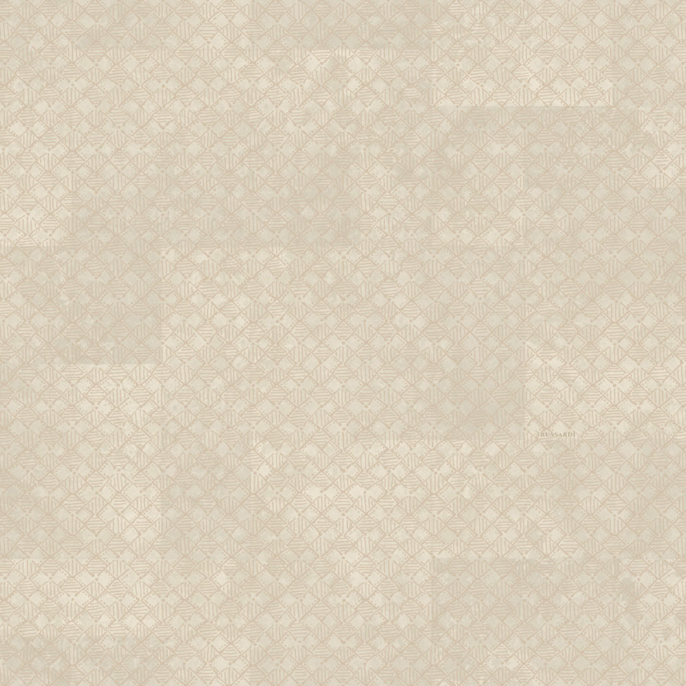 Luxus-geometrische Tapete, grau, Z30340, Casa 8, Trussardi