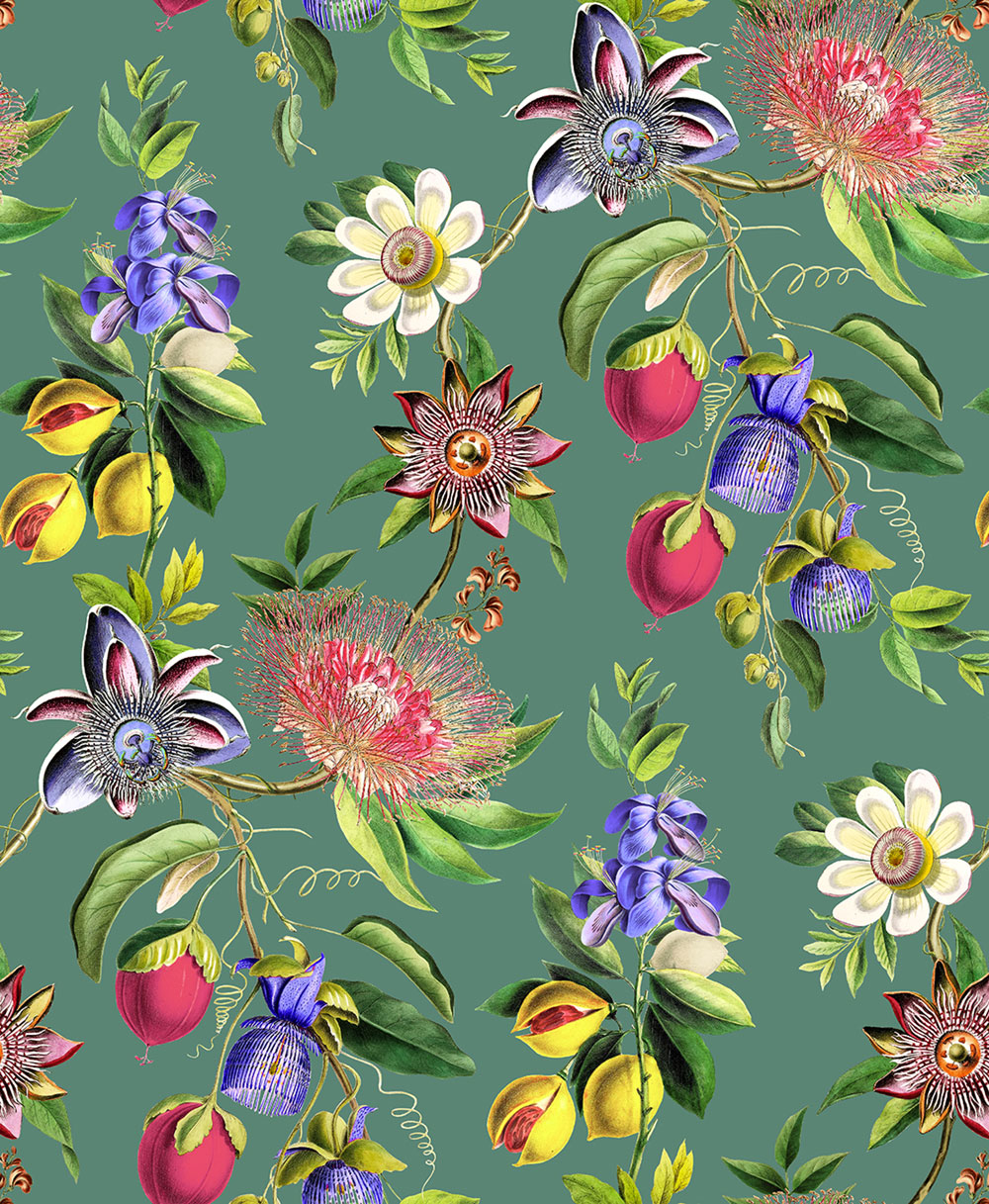 Tapete, grün, Blumen, Passionsblume, 127918, Arboretum, Graham Brown Premium