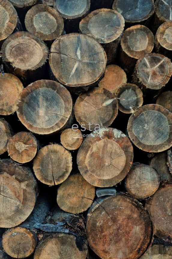 Bildtapete in Holzoptik, 158206, 1,86 x 2,79 m, Scandi Cool, Esta