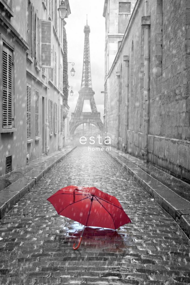 Non-woven mural wallpaper 158811, 1,86 x 2,79 m, Paris, FAB, Esta