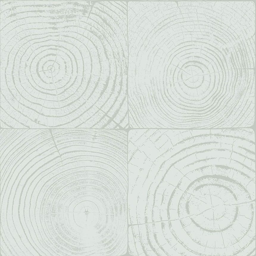 Tapete in helltürkiser Holzoptik mit Jahresringen, 347545, Matières - Wood, Origin