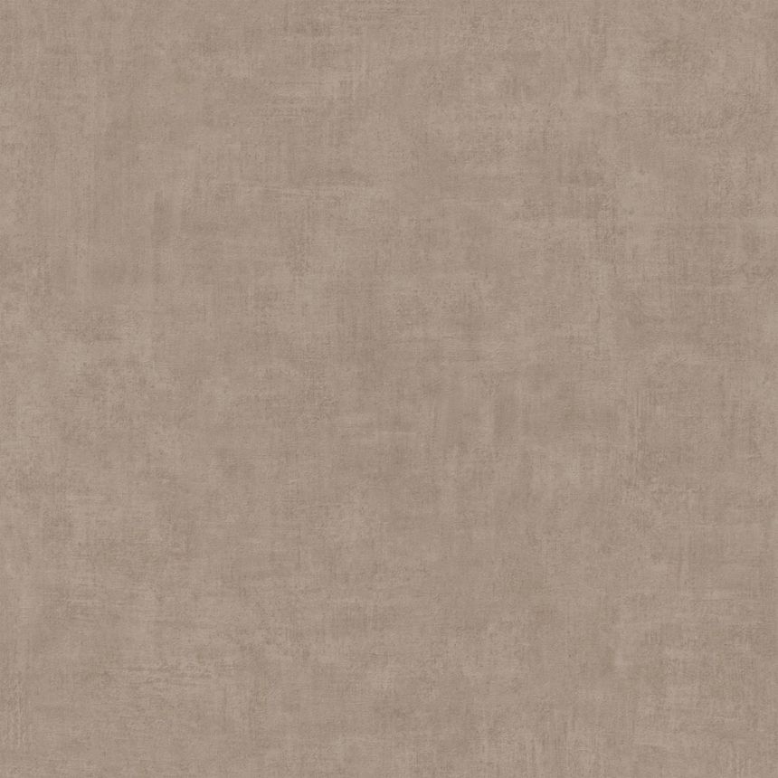 Braune Tapete, Braun, Beton, Putz, A51516, One roll, one motif 2, Mural Young Edition, Grandeco