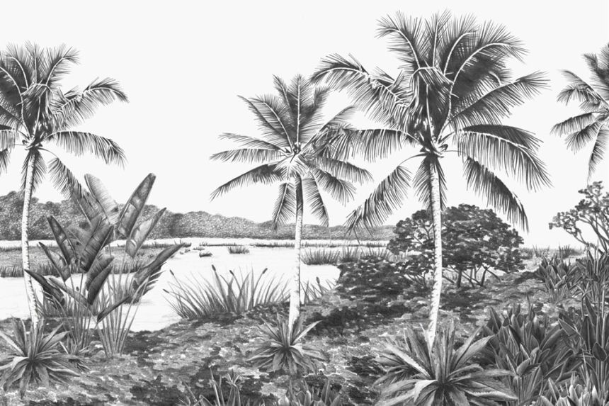 Fototapete - Landschaft, Palmen, Vliestapete wandbilder 357224, 418,5x279cm, Precious, Origin