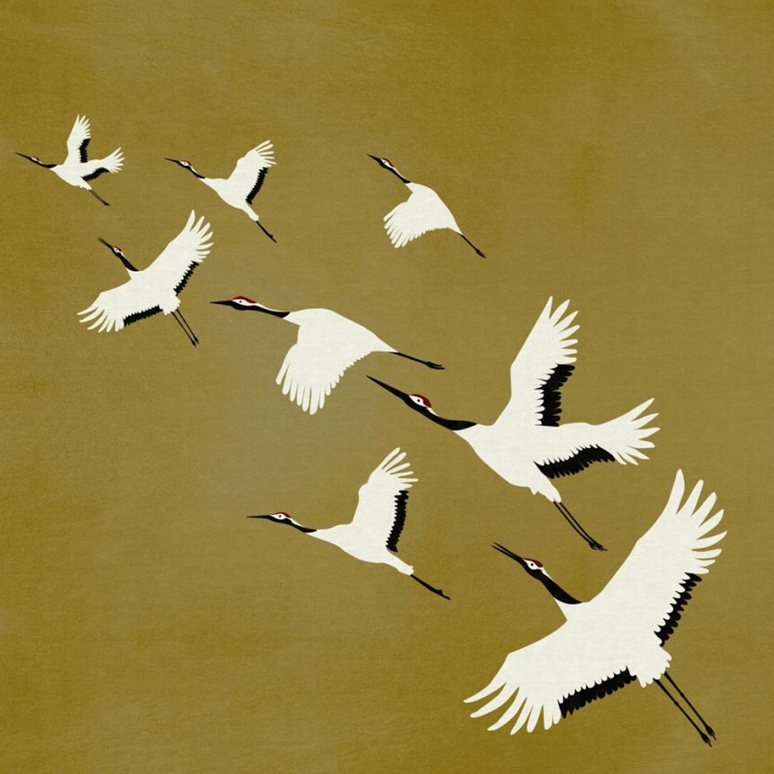 Fototapete Vögel im Flug, Vliestapete wandbilder 357236, 300 x 300 cm, Natural Fabrics, Origin