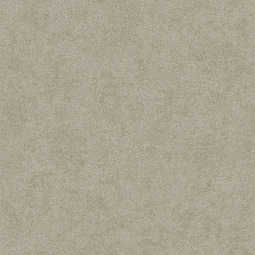 Strukturierte graue Tapete, AF24504, Affinity, Decoprint